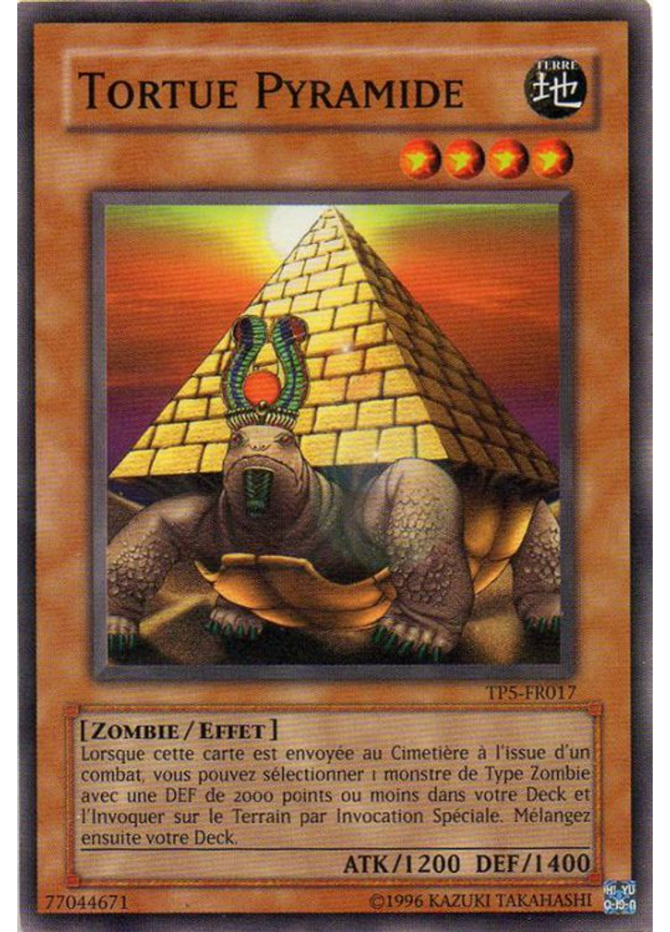 Tortue Pyramide
