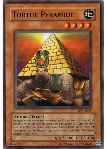 Tortue Pyramide