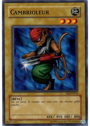 Cambrioleur