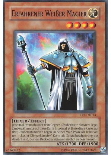 Erfahrener Weißer Magier