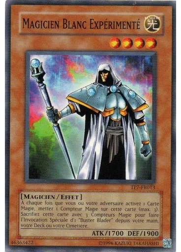 Magicien Blanc Expérimenté