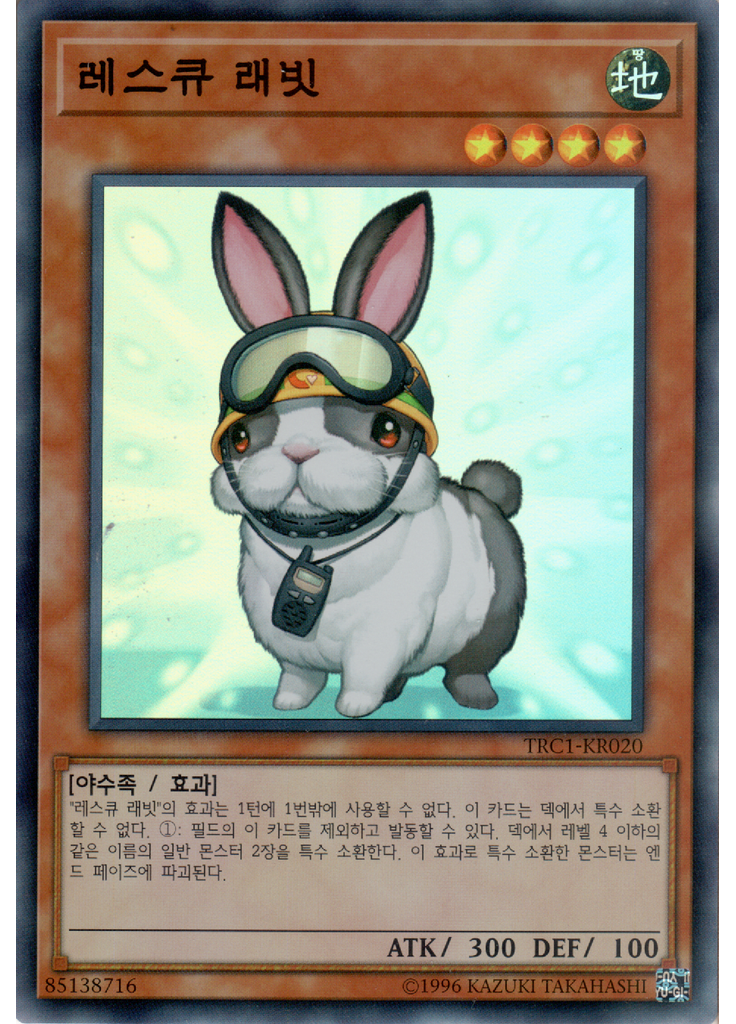 레스큐 래빗