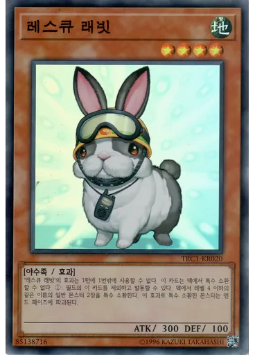 레스큐 래빗