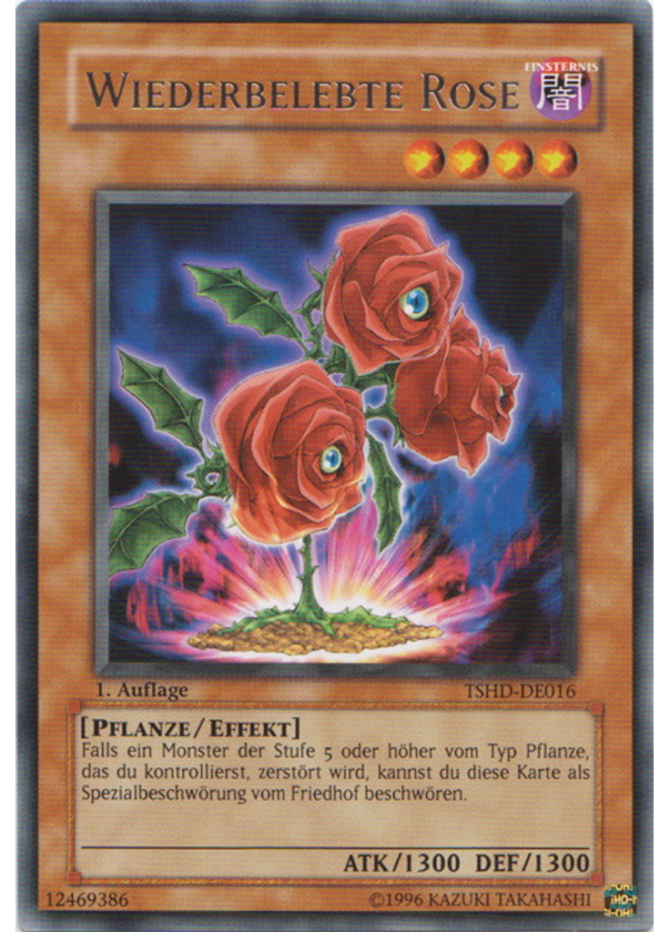 Wiederbelebte Rose