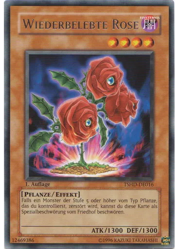 Wiederbelebte Rose