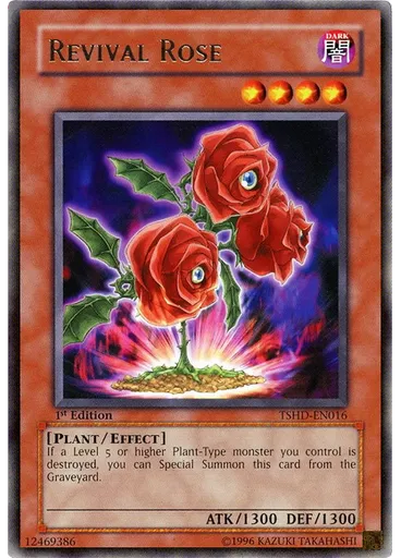 Revival Rose