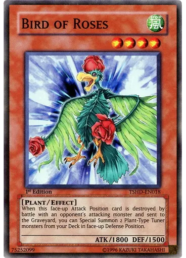 Bird of Roses