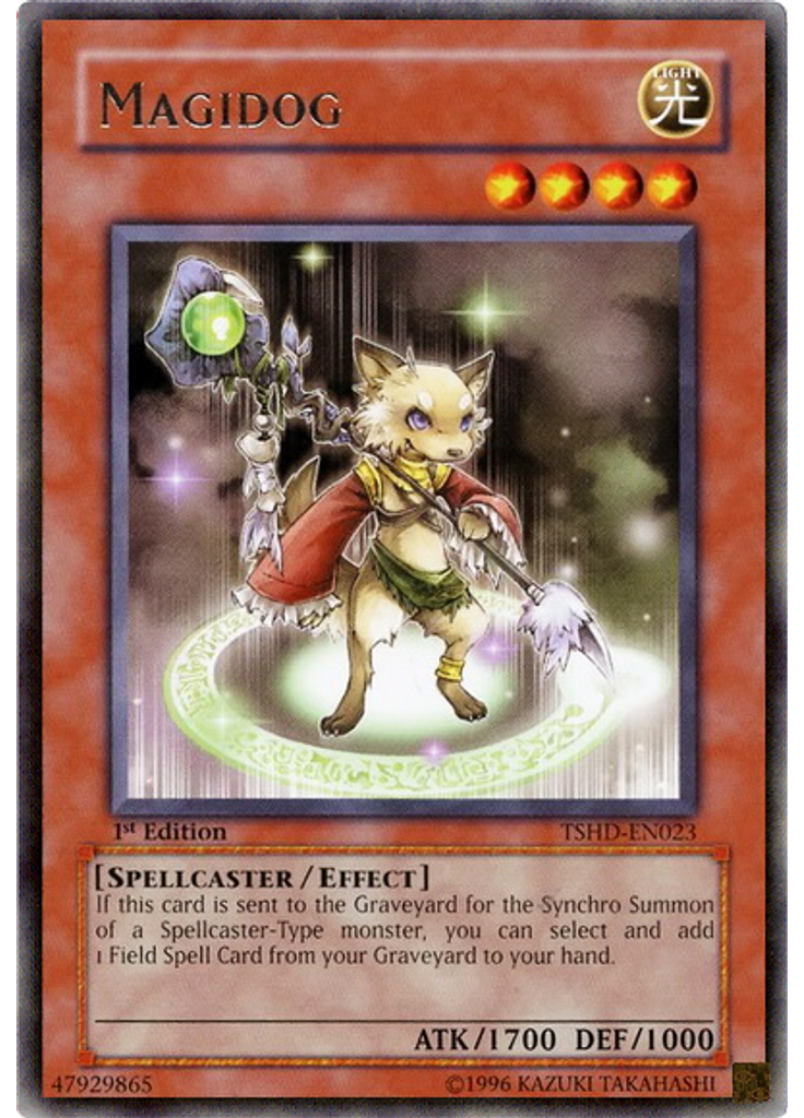 Magidog