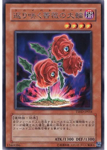 返り咲く薔薇の大輪