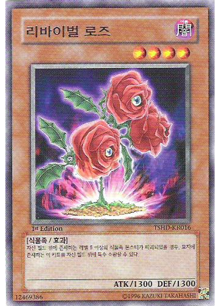 리바이벌 로즈