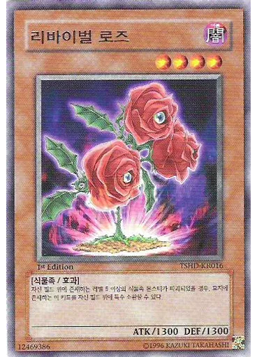 리바이벌 로즈