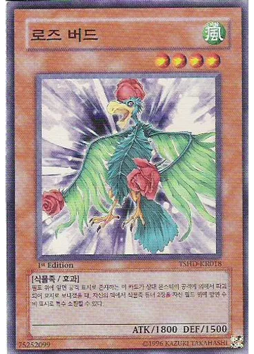로지즈 버드