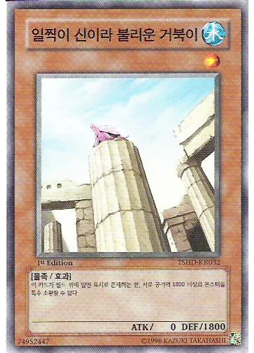 일찍이 신이라 불린 거북이