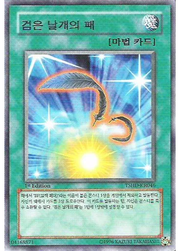 검은 날개의 패