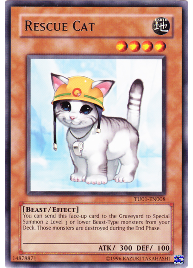 Rescue Cat