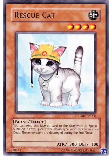 Rescue Cat
