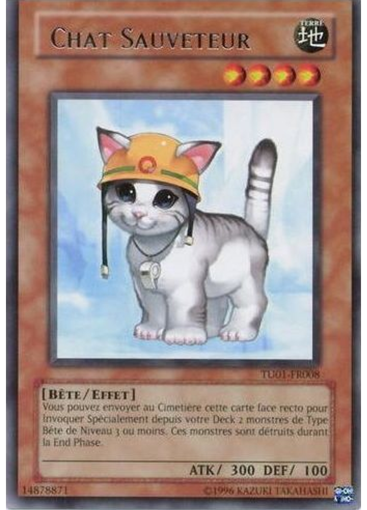 Chat Sauveteur