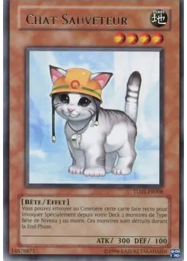 Chat Sauveteur