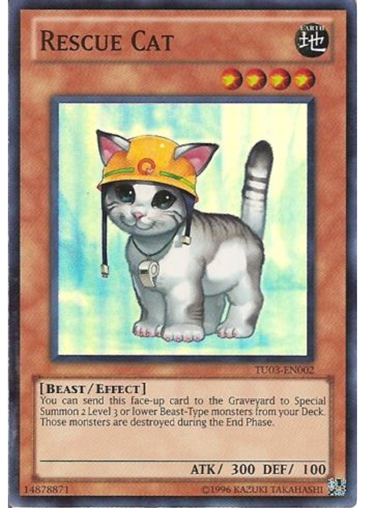 Rescue Cat