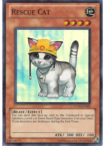 Rescue Cat
