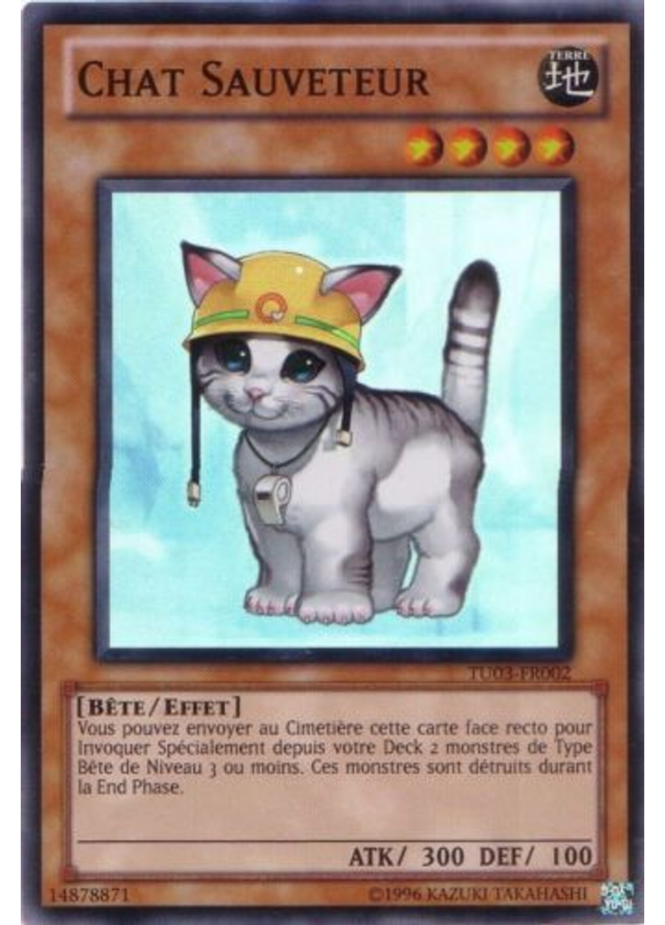 Chat Sauveteur