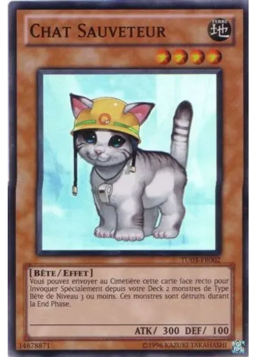 Chat Sauveteur