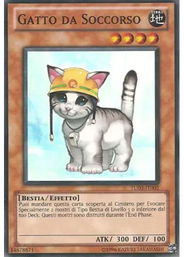 Gatto da Soccorso