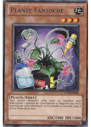 Plante Fantoche