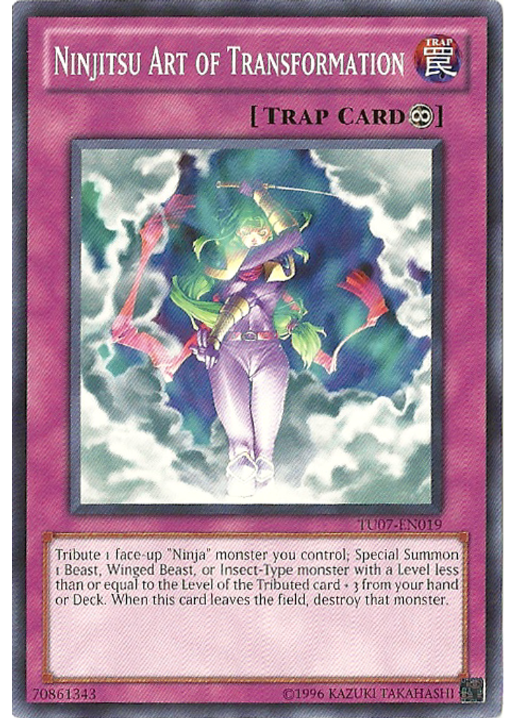 Ninjitsu Art of Transformation