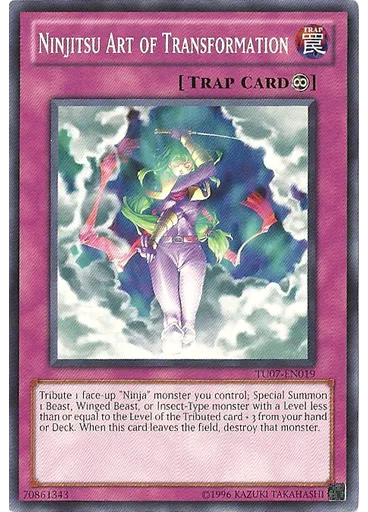 Ninjitsu Art of Transformation