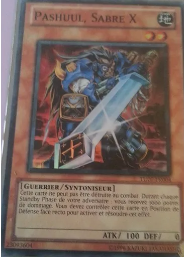 Pashuul, Sabre X