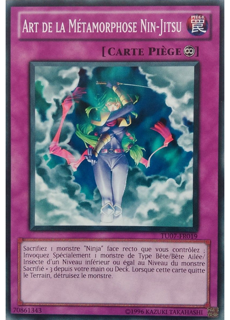 Art de la Métamorphose Nin-Jitsu
