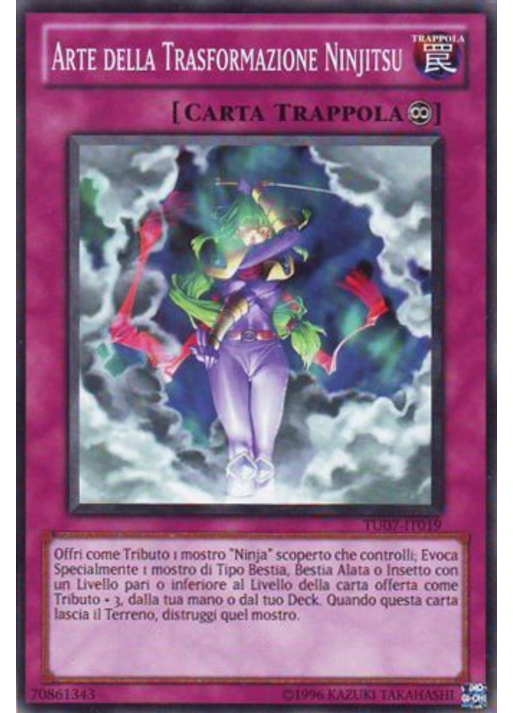 Arte della Trasformazione Ninjitsu