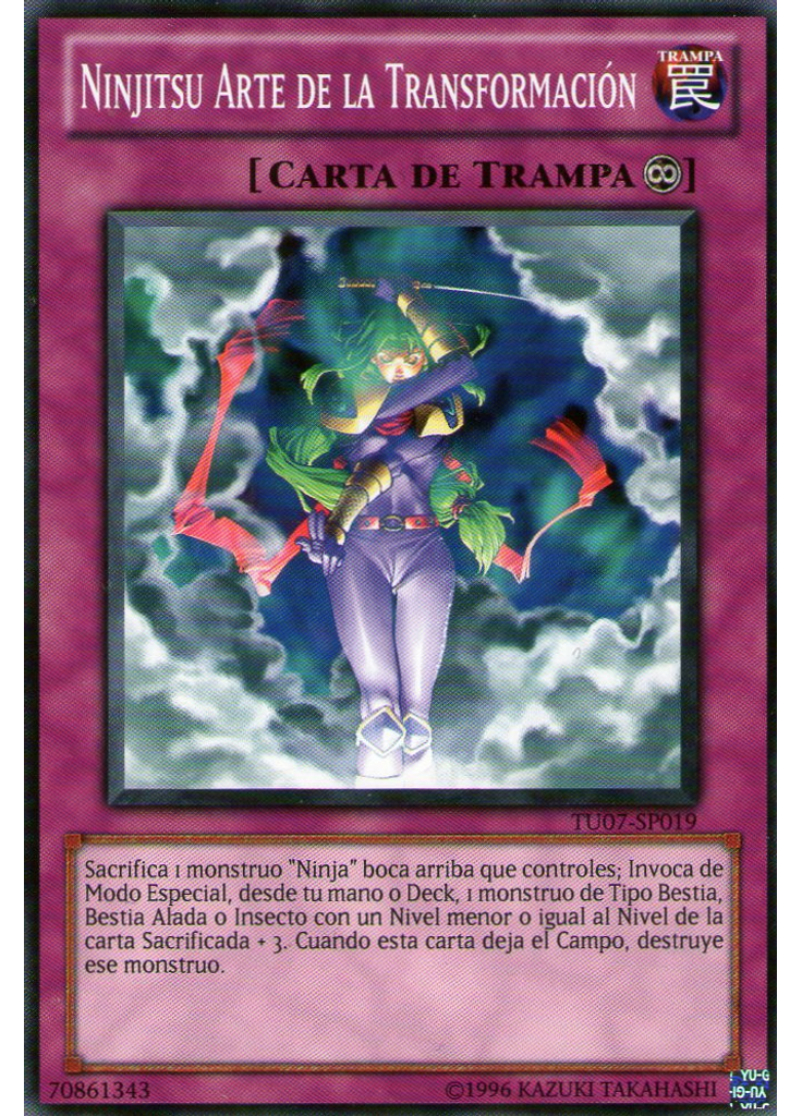 Ninjitsu Arte de la Transformación