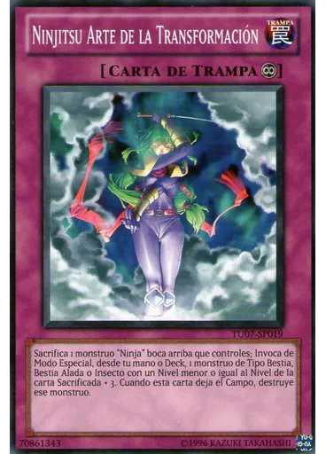 Ninjitsu Arte de la Transformación
