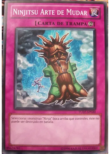 Ninjitsu Arte de Mudar