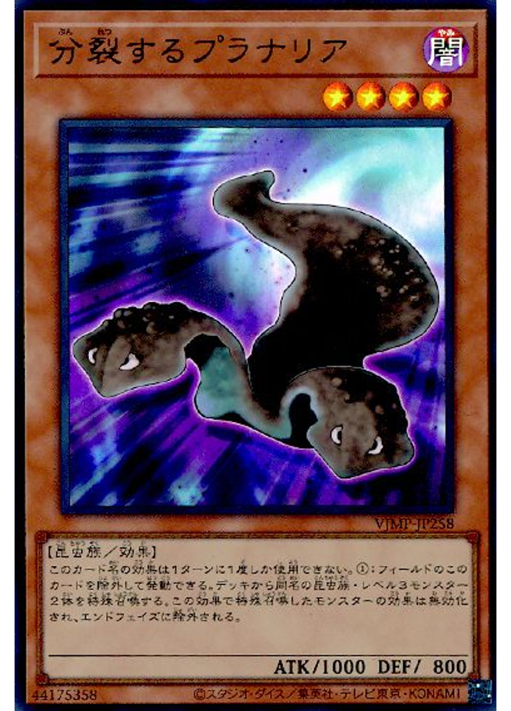 分裂するプラナリア