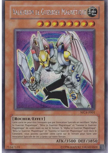 Valkyrion, le Guerrier Magnétique