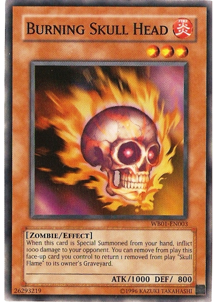 Burning Skull Head