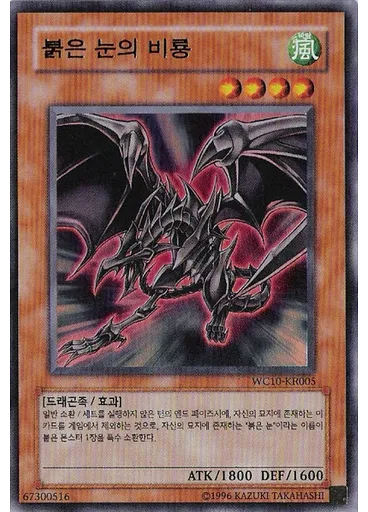 붉은 눈의 비룡