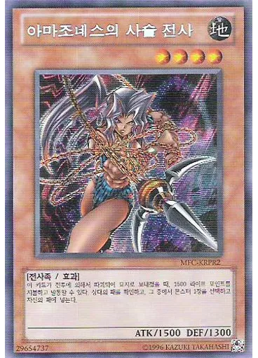 아마조네스의 사슬 전사