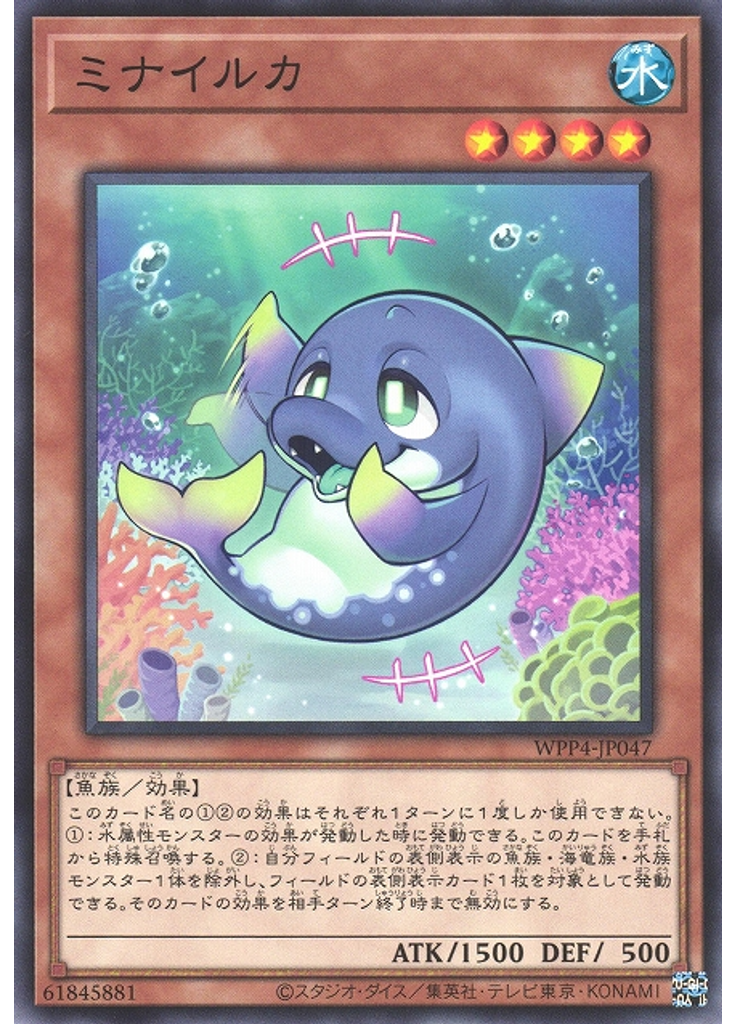 ミナイルカ