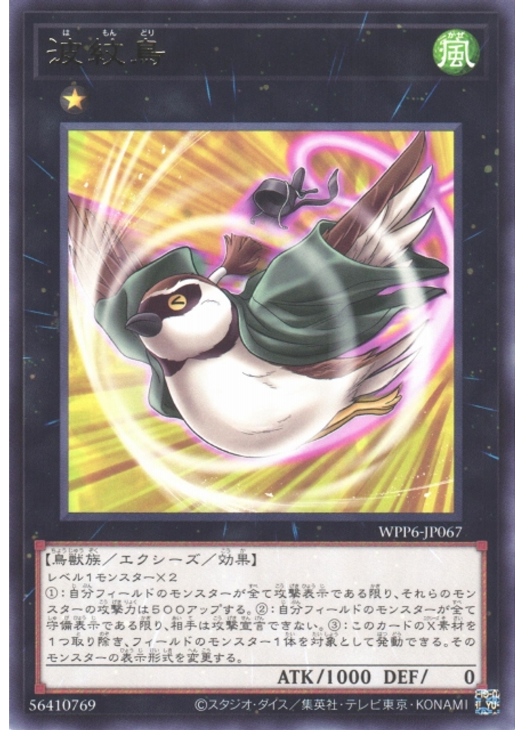 波紋鳥