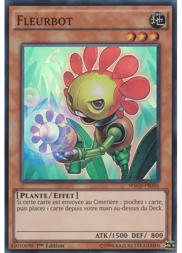 Fleurbot