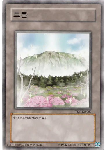 토큰