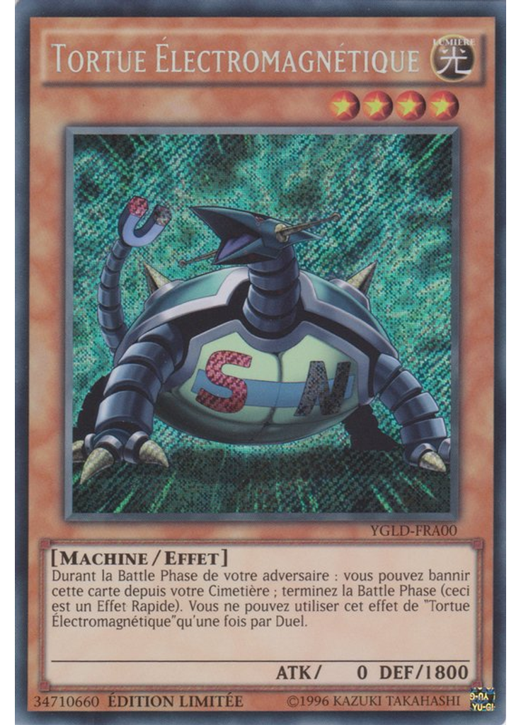 Tortue Électromagnétique