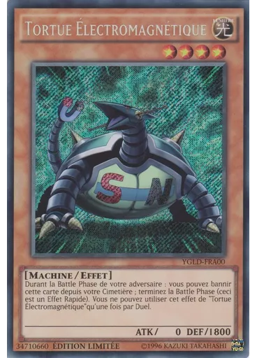 Tortue Électromagnétique