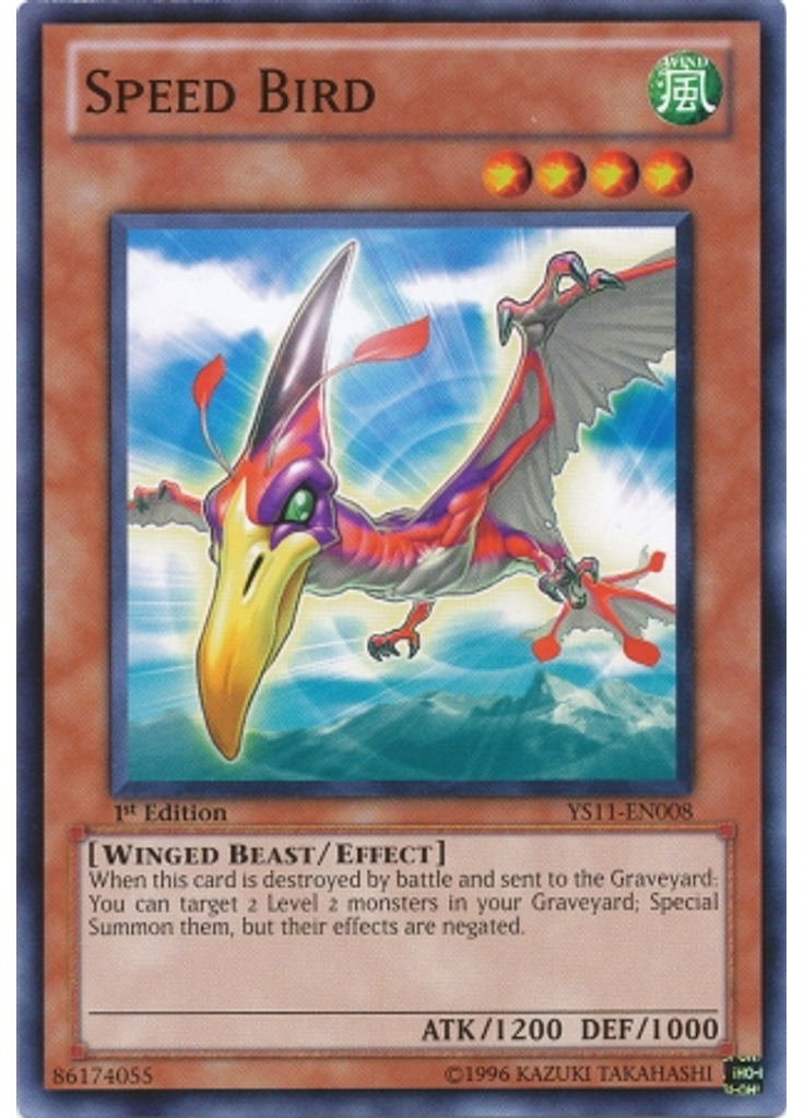 Speed Bird