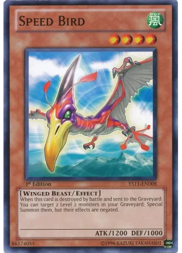 Speed Bird