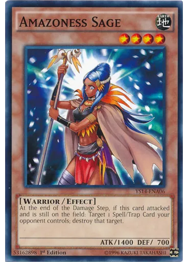 Amazoness Sage
